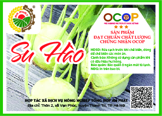 Product Info Image 1